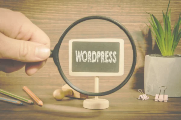 Cómo elegir los plugins de wordpress